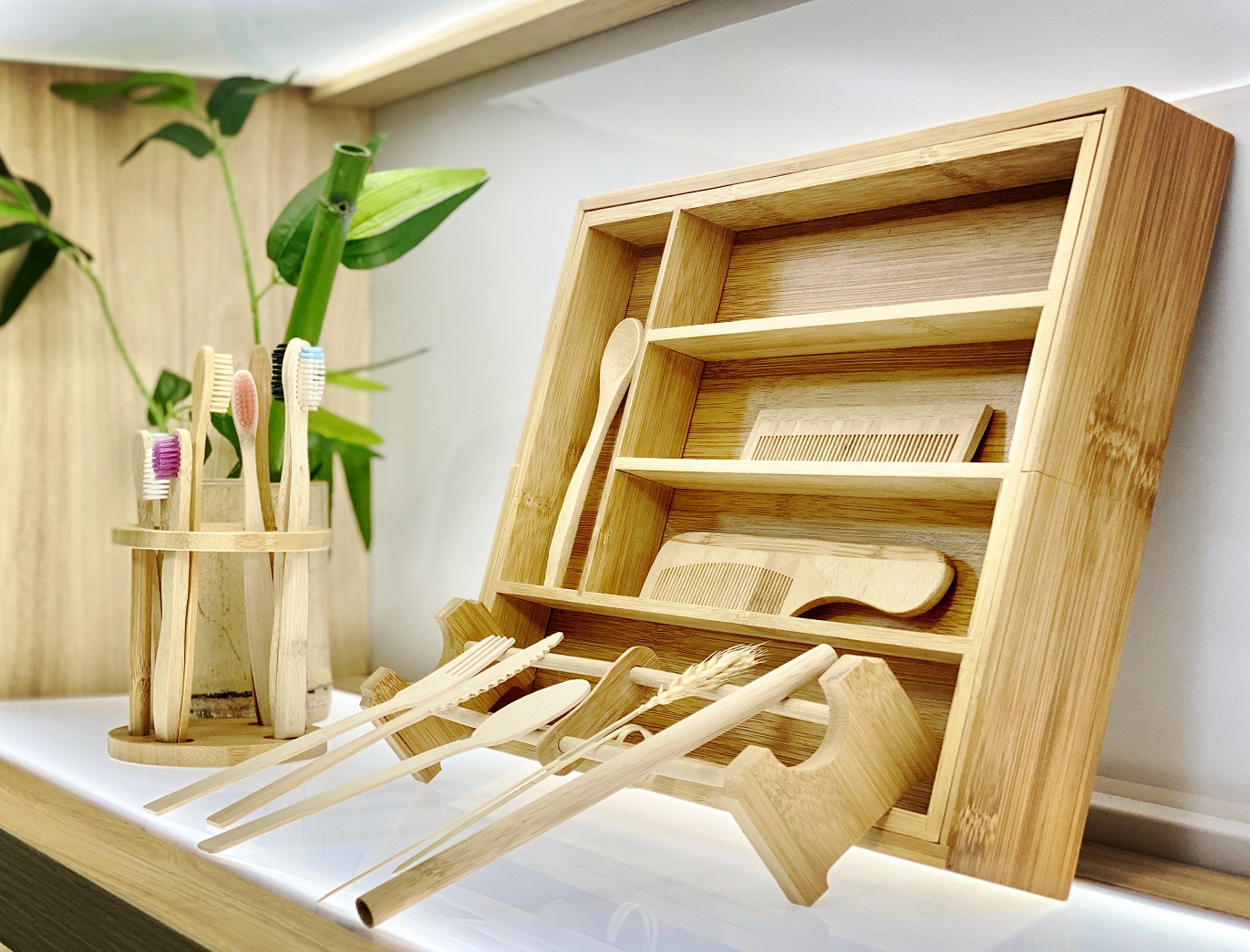 Bamboo product showing