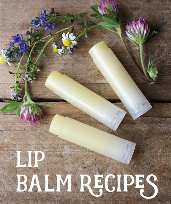 Lips protector--olive oil lip balm