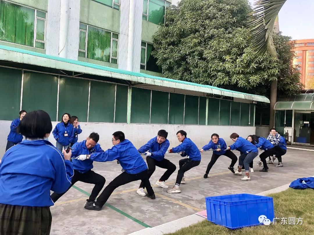 1610978185435481.jpg 5.jpg