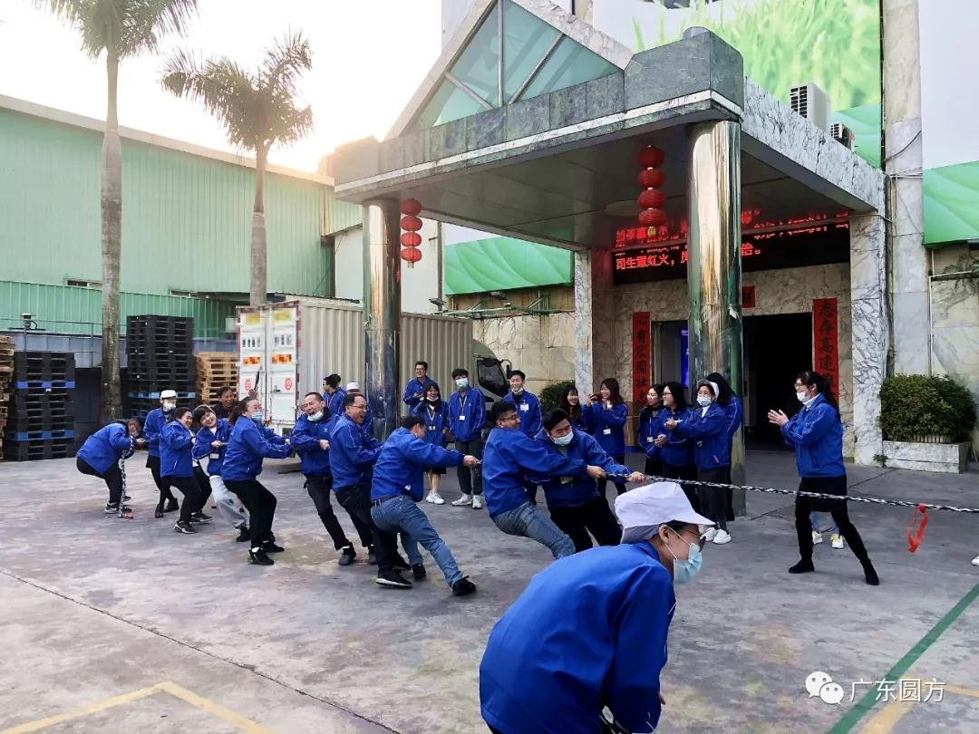 1610978212517414.jpg 6.jpg