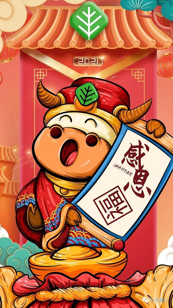 1610978300136350.jpg 8.jpg