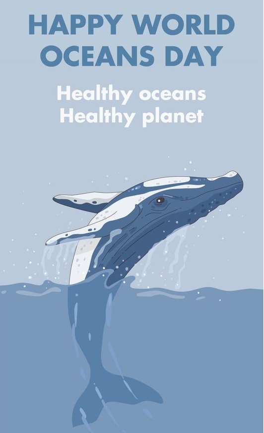 1624972110136096.jpg 3.jpg