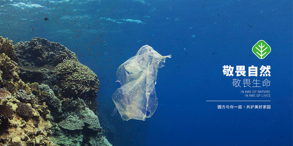 海洋塑料，见证新的环保革命行动