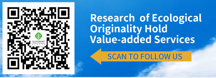 1641781656518877.png image.png