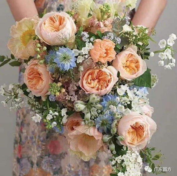 1646295615130407.png image.png