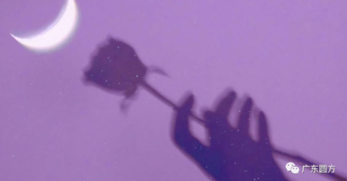 1646295705146049.png image.png